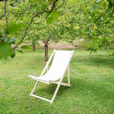 Gaestehaus Schuetz Spitz an der Donau Екстер'єр фото